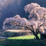 images (6)