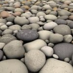 images (16)