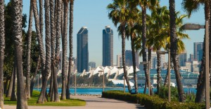 san-diego-with-palm-trees