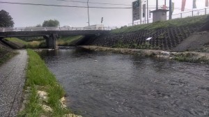 IMG_20150625_152042626_HDR
